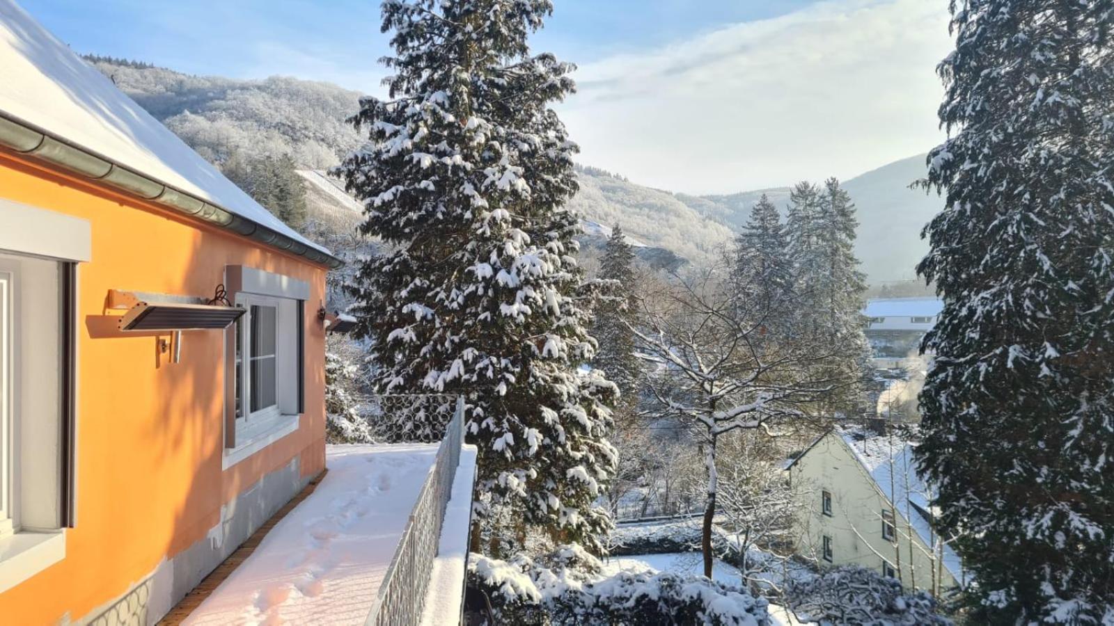 Waldhaus Zum Gechillten Hirsch In Der Natur, Bei Der Moseltherme Traben-Trarbach Luaran gambar