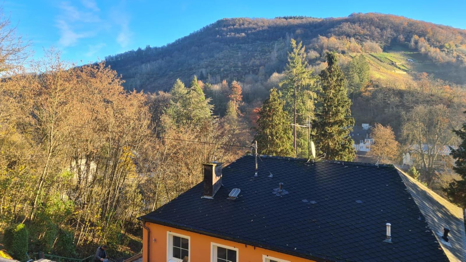 Waldhaus Zum Gechillten Hirsch In Der Natur, Bei Der Moseltherme Traben-Trarbach Luaran gambar