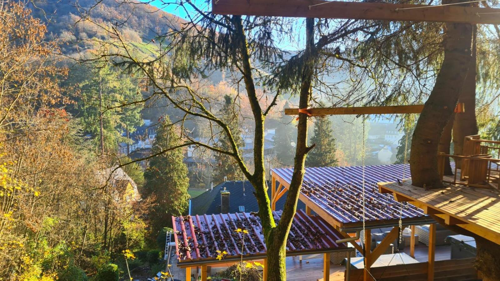Waldhaus Zum Gechillten Hirsch In Der Natur, Bei Der Moseltherme Traben-Trarbach Luaran gambar