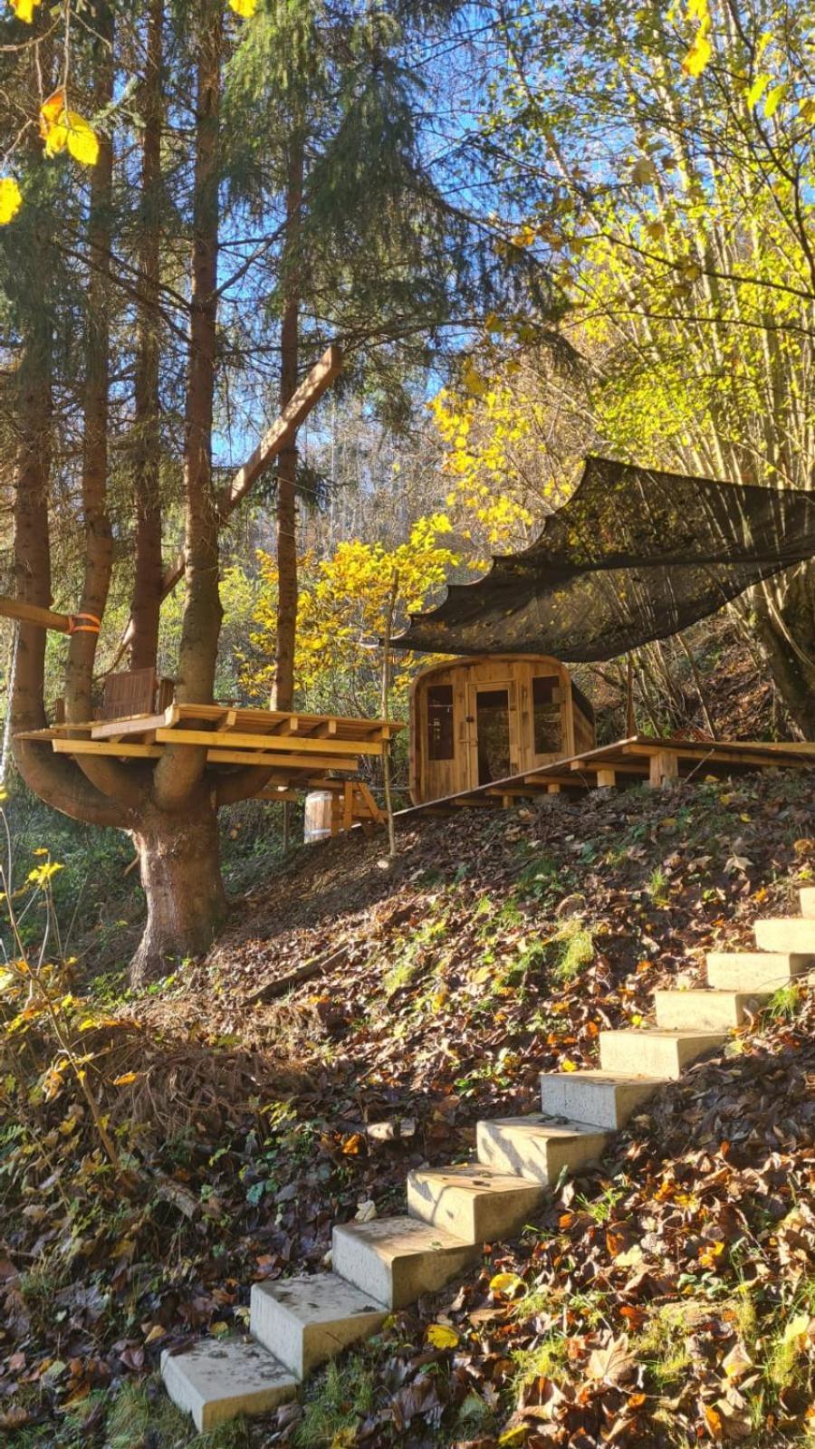 Waldhaus Zum Gechillten Hirsch In Der Natur, Bei Der Moseltherme Traben-Trarbach Luaran gambar