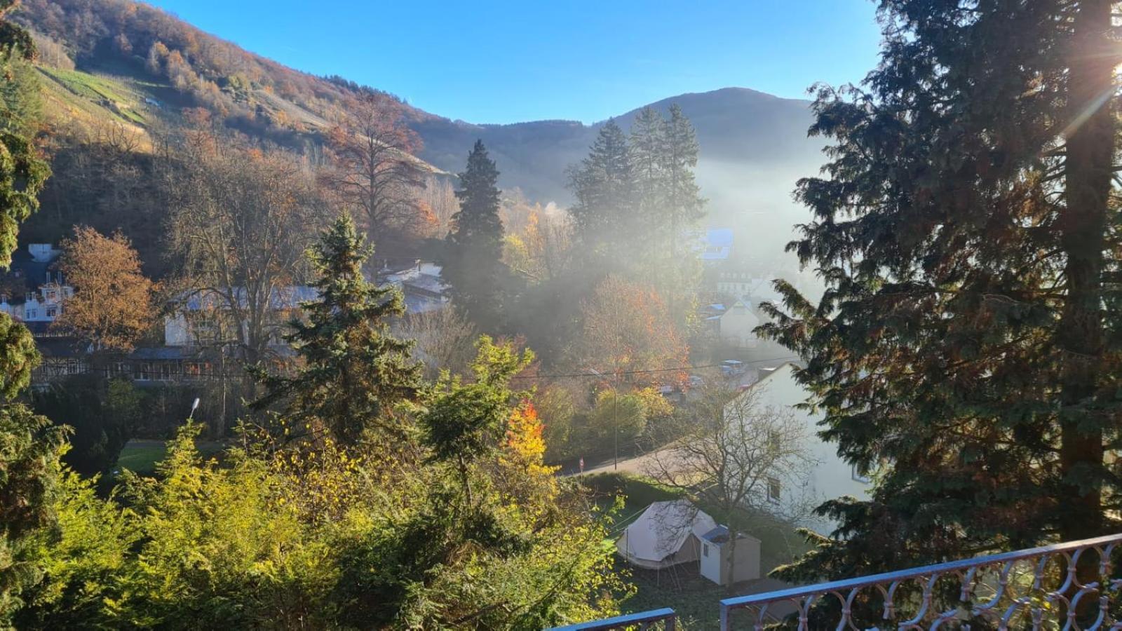 Waldhaus Zum Gechillten Hirsch In Der Natur, Bei Der Moseltherme Traben-Trarbach Luaran gambar