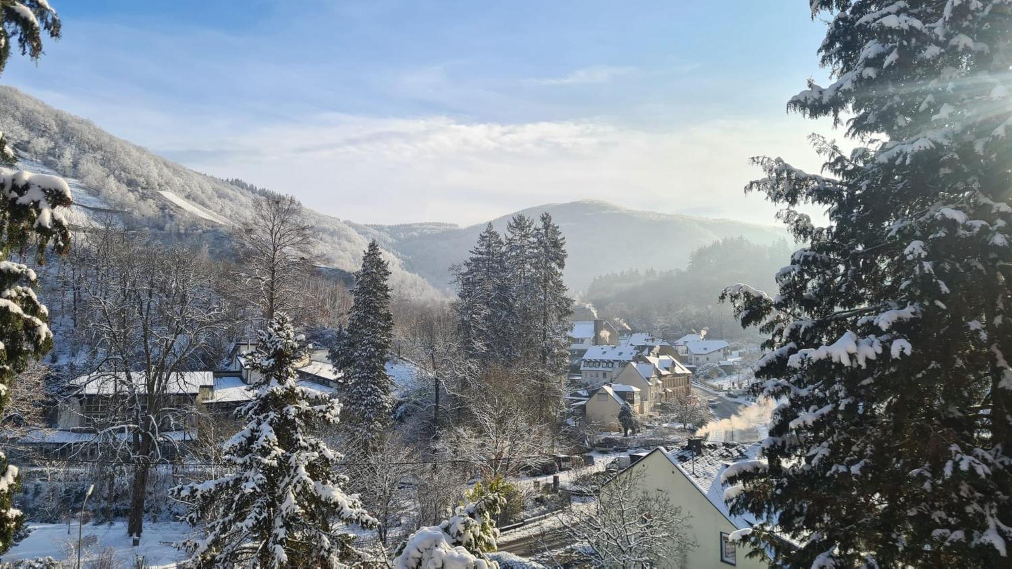Waldhaus Zum Gechillten Hirsch In Der Natur, Bei Der Moseltherme Traben-Trarbach Luaran gambar