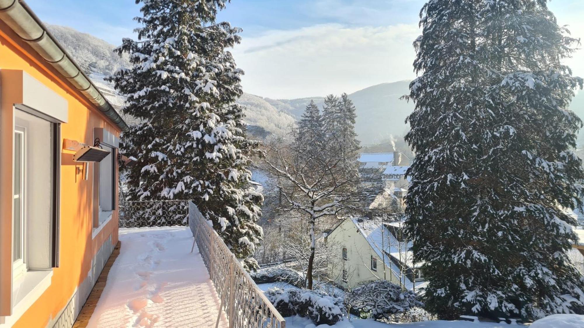 Waldhaus Zum Gechillten Hirsch In Der Natur, Bei Der Moseltherme Traben-Trarbach Luaran gambar
