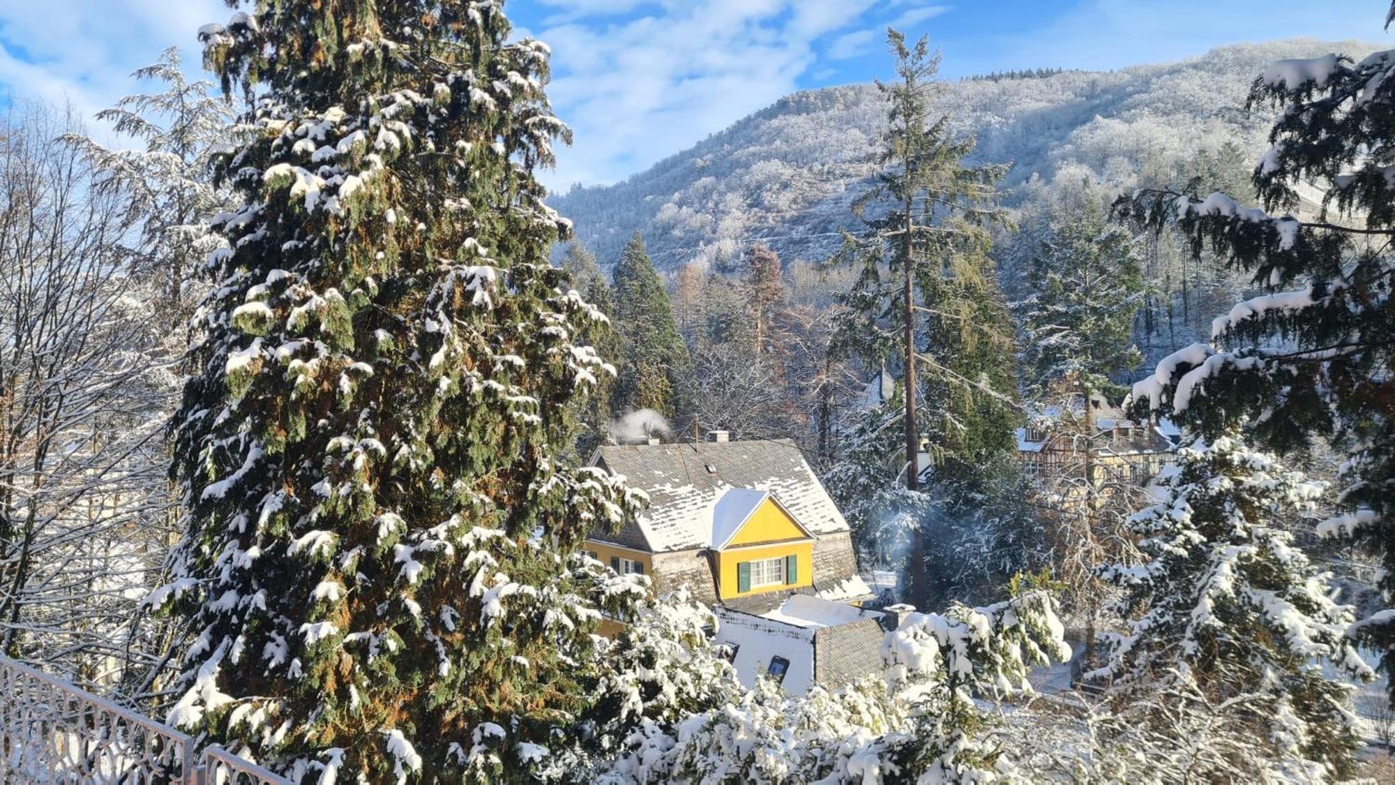 Waldhaus Zum Gechillten Hirsch In Der Natur, Bei Der Moseltherme Traben-Trarbach Luaran gambar